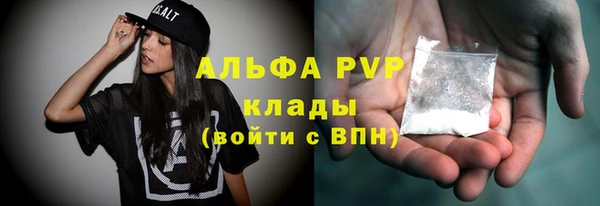 ECSTASY Новый Уренгой