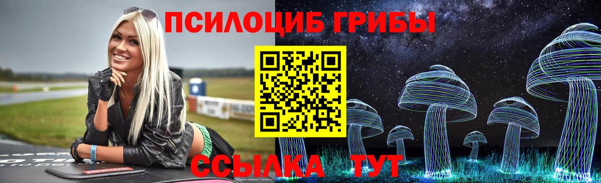 Псилоцибиновые грибы GOLDEN TEACHER  Черняховск  Галлюциногенные грибы Psilocybe 