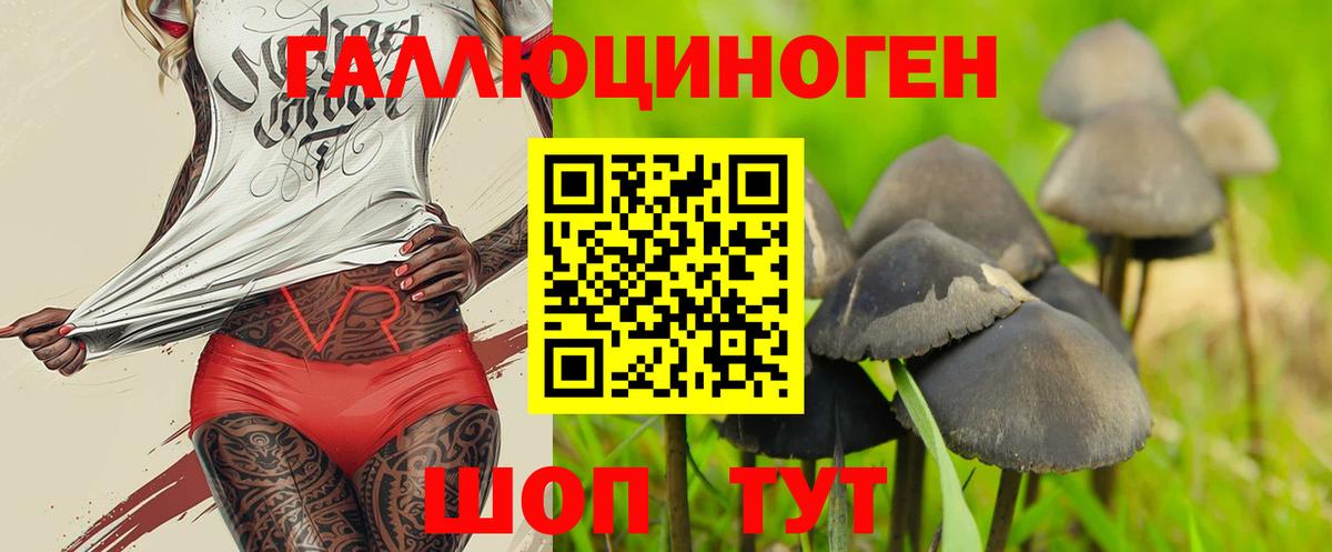 Псилоцибиновые грибы мухоморы Черняховск