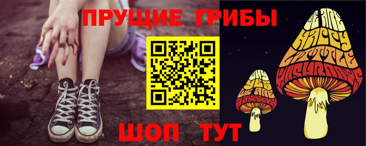 Псилоцибиновые грибы мицелий  Псилоцибиновые грибы GOLDEN TEACHER  Вход с VPN  Черняховск 