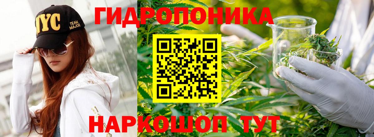 Каннабис VHQ  Канабис ГИДРОПОН  Черняховск  МАРИХУАНА семена  Конопля гибрид  Вход с VPN 